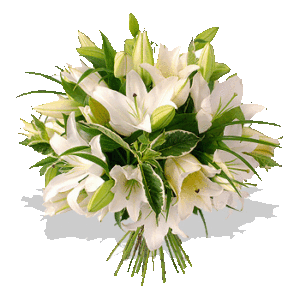 Flower Arrangements